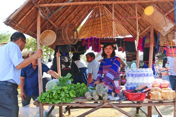 Gia Lai Province celebrates Ngoc Hoi-Dong Da Victory ảnh 14