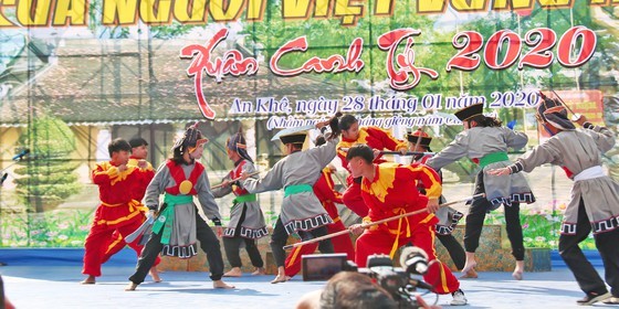 Gia Lai Province celebrates Ngoc Hoi-Dong Da Victory ảnh 24