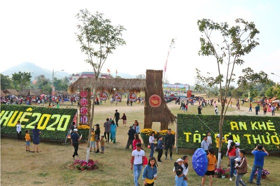 Gia Lai Province celebrates Ngoc Hoi-Dong Da Victory ảnh 3