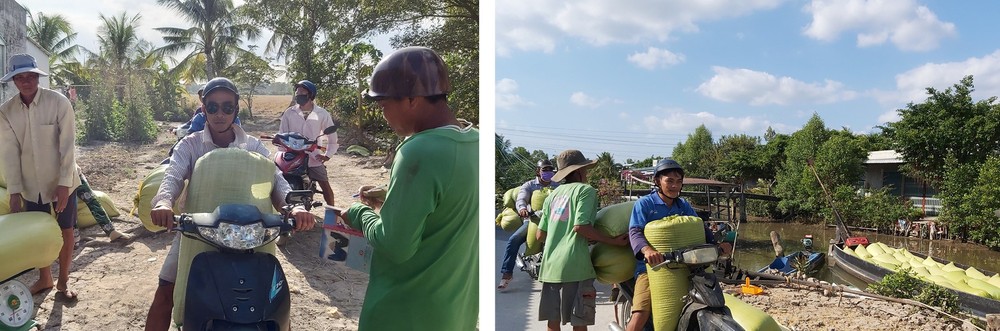 Mekong Delta grapples with drought, saltwater intrusion ảnh 13