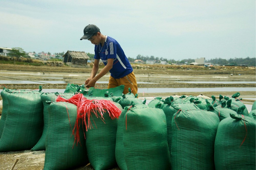 Sa Huynh salt farmers endure falling prices ảnh 8