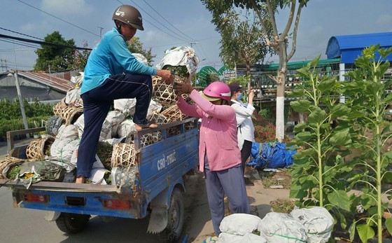 “Sa Dec tourism culture village” project kicked off ảnh 5