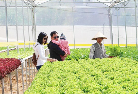 Da Lat City expected to become heritage city ảnh 5