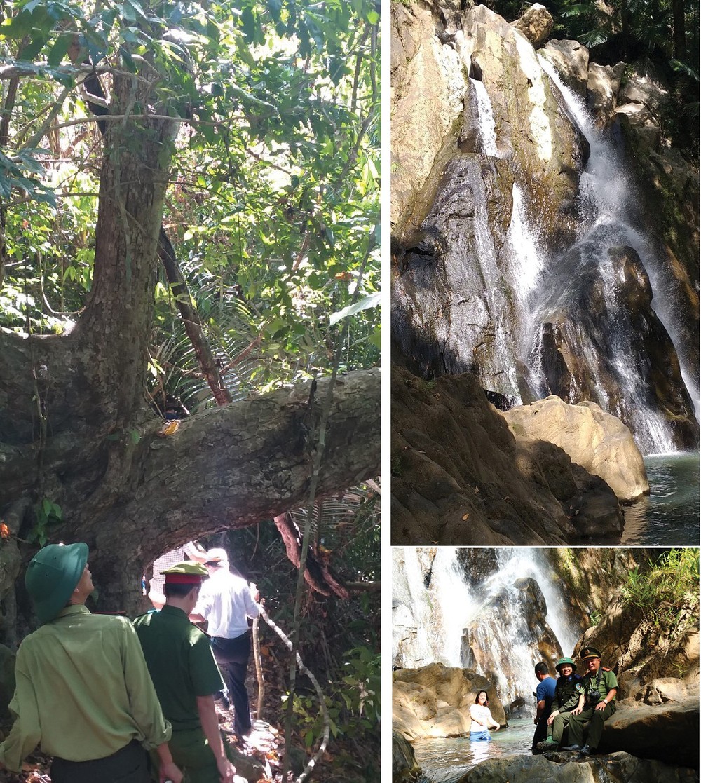 Quang Nam Province plans to turn Song Thanh Nature Reserve into national park ảnh 7