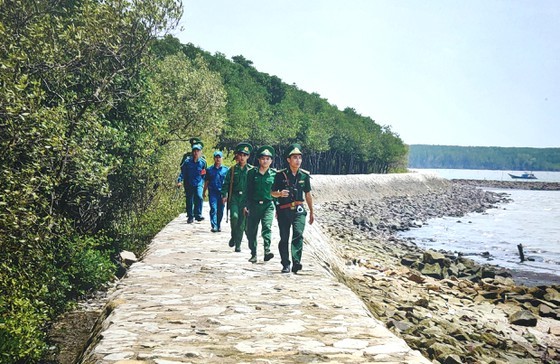 Brilliant beauty of HCMC ảnh 4