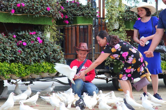 Travelers flock to Da Lat for some cool fresh air, avoid summer heat ảnh 6