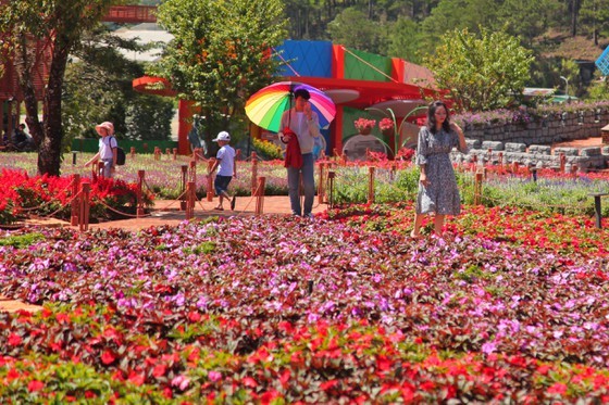 Travelers flock to Da Lat for some cool fresh air, avoid summer heat ảnh 8
