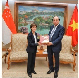 Vietnam, Singapore strengthen relationship during the COVID-19 pandemic ảnh 1