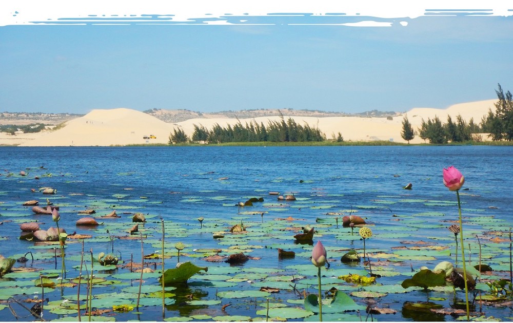 Mui Ne named national tourist site ảnh 3