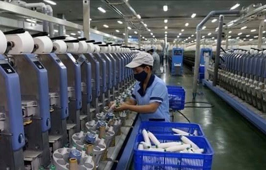 Vietnam good at taking advantage of crisis: WB expert ảnh 1