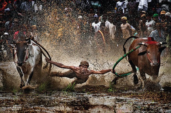 Photo exhibition on discovering ASEAN land, people to open in Hanoi ảnh 2