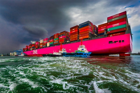 Peaceful Pace Of Life ảnh 4