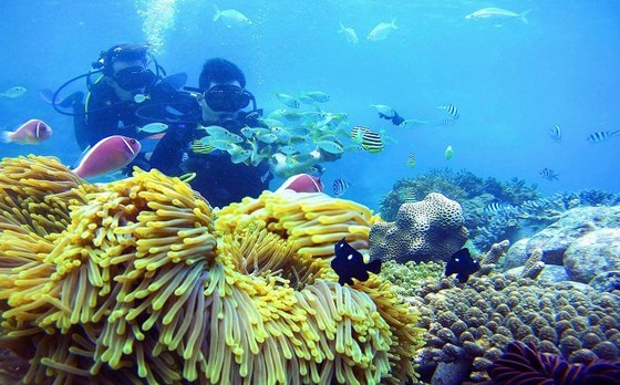 Photo, video contests promoting and reviving national tourism concluded ảnh 4