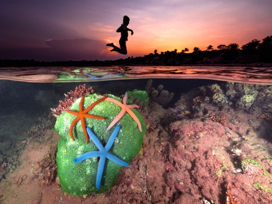 Sound and color of life ảnh 1