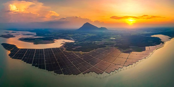 Sound and color of life ảnh 4