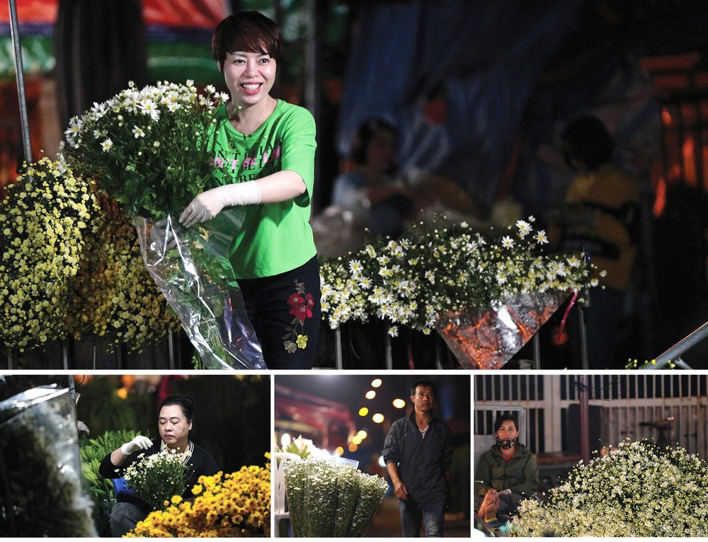 White daisy comes to capital ảnh 5