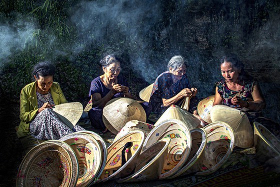 Discovering the beauty of life's colors ảnh 2