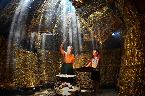 Discovering the beauty of life's colors ảnh 4