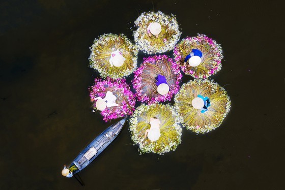 Discovering the beauty of life's colors ảnh 5