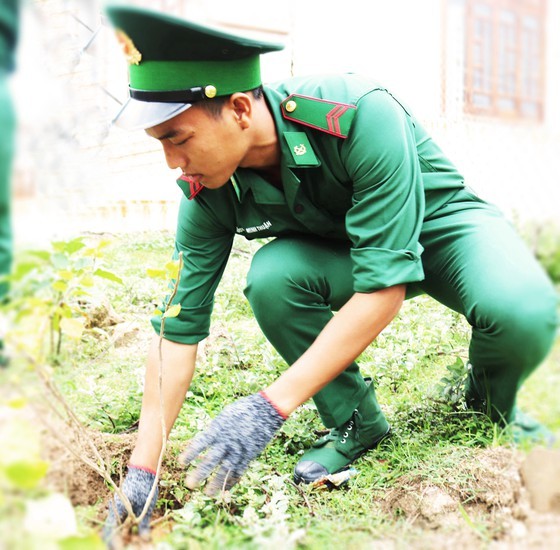 Discovering Green Island in Quy Nhon City ảnh 3