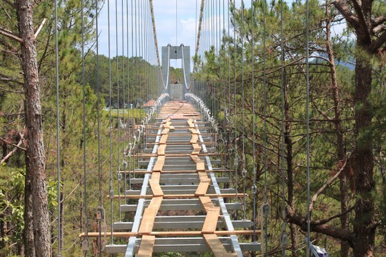 Da Lat collects opinions on planning project of Valley of Love ảnh 2