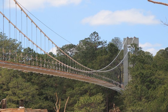 Da Lat collects opinions on planning project of Valley of Love ảnh 1