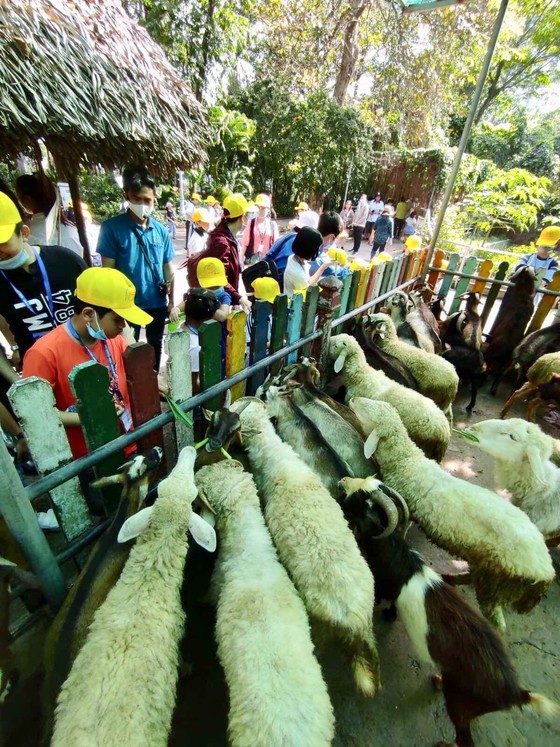 HCMC offers 5,000 free short trips to disadvantaged children, adults ảnh 1