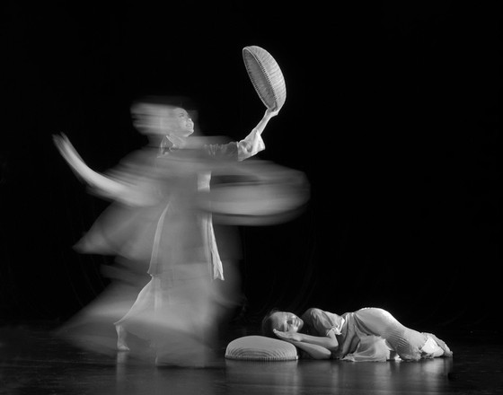 Award winning images honor beauty of country ảnh 6