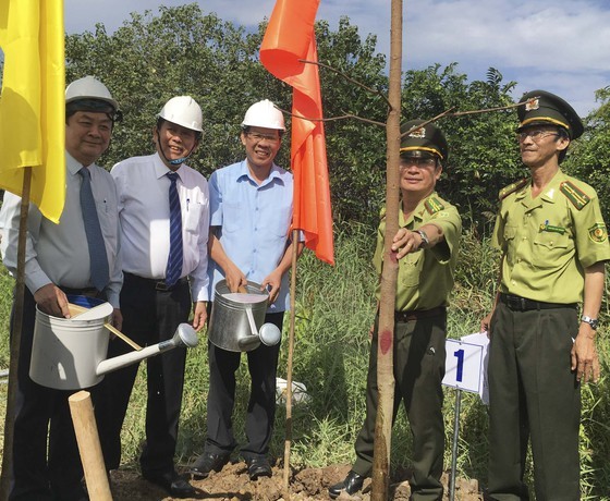 Ben Tre strives to plant 10 million trees ảnh 2