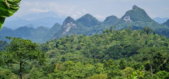 Over VND141 trillion to be invested in 37 projects in Quang Binh ảnh 5