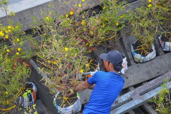 HCMC’s floating flower market opens ảnh 3
