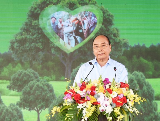 Phu Yen expected to be listed in country’s top tree-covered localities: PM ảnh 1
