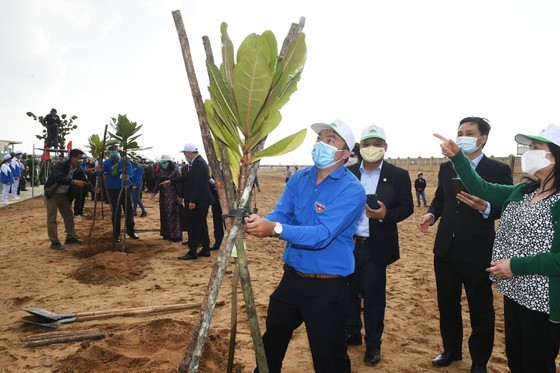 Phu Yen expected to be listed in country’s top tree-covered localities: PM ảnh 3