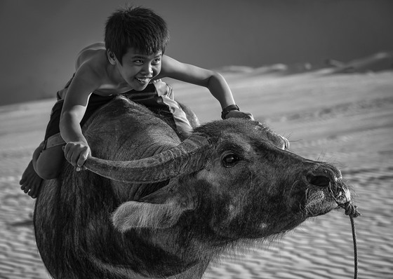 Shining smiles ảnh 4