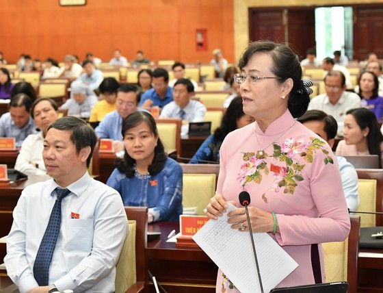 Master plan for HCMC's further development discussed ảnh 4