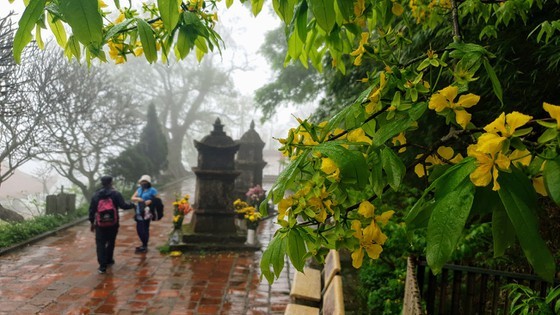 Majestic beauty of Sacred Yen Tu Mountain ảnh 6