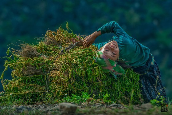 Vietnam in various colors ảnh 5