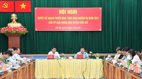 Can Gio to be developed into ecotourism and recreation city ảnh 1