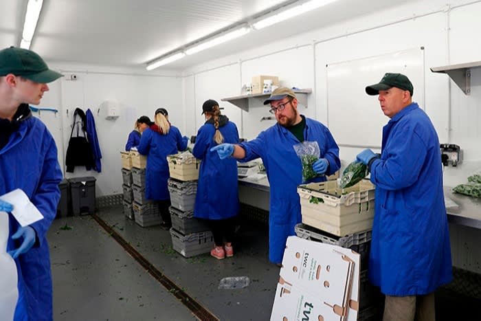 How two decades of EU migration went into reverse ảnh 9