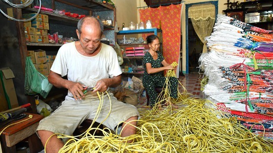 HCMC Party Chief makes realistic survey of Can Gio District ảnh 5