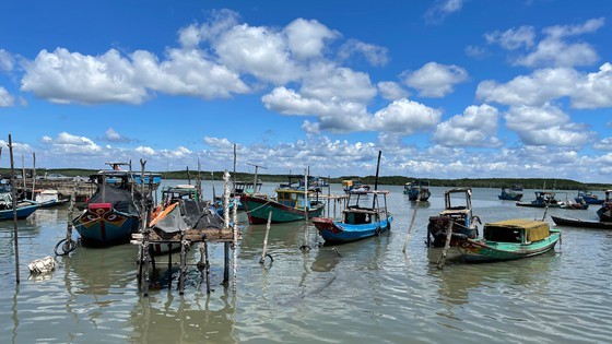 HCMC Party Chief makes realistic survey of Can Gio District ảnh 6