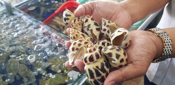 Nha Trang restaurant fined VND13.25 million for administrative violations ảnh 1