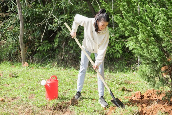 Beauty queens participate in 50-million tree planting campaign in Lam Dong ảnh 5