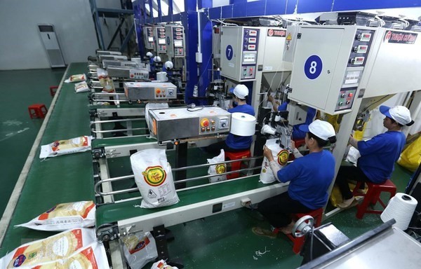 Expert: Vietnam’s FTAs driving up exports-imports ảnh 2