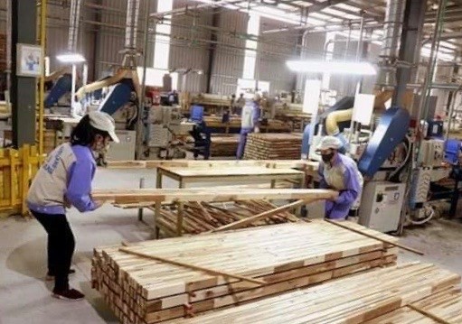 Made-in-Vietnam wooden products conquer US market ảnh 2
