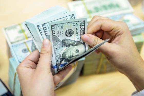 Inflation inevitable for economic growth ảnh 1