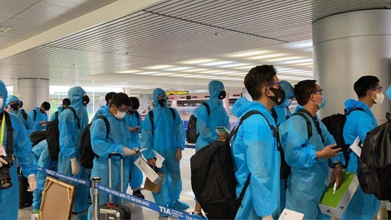 Vietnam national football team returns to HCMC, takes 7-day quarantine ảnh 4
