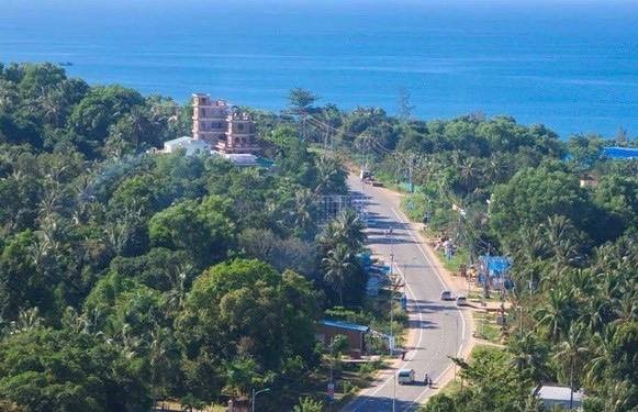 International visitors to Vietnam drop 97.6 percent y-o-y in H1 ảnh 1