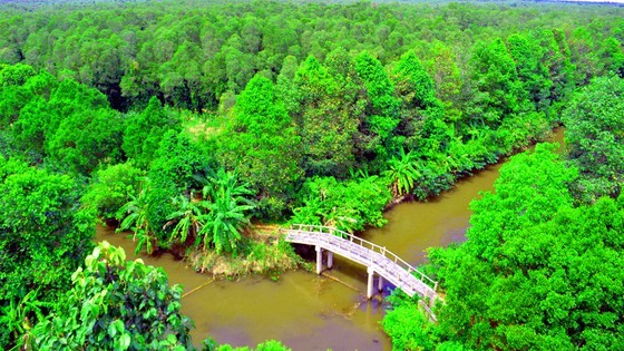 Mekong Delta’s unique nature reserve to be opened for visitors’ exploration ảnh 2
