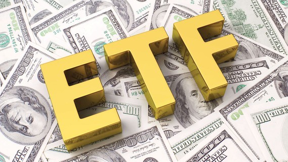 Investors turn to ETFs to limit risks ảnh 1